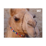 Hi! Postcards