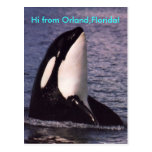 Hi Postcards