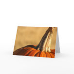 Hi Pumpkin cards