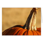 Hi Pumpkin Greeting Cards