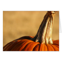 Hi Pumpkin Greeting Cards