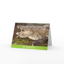 Hi Sweetie Card