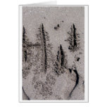 Hi! Written in Florida beach sand with footprints Greeting Cards