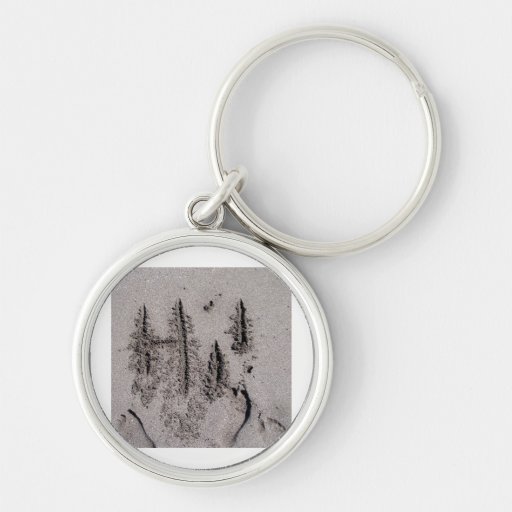 Hi! Written in Florida beach sand with footprints Key Chains