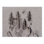 Hi! Written in Florida beach sand with footprints Post Card