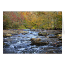 Hiawassee River in Autumn Greeting Card