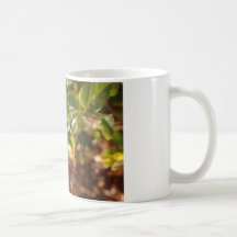 Hibicus Coffee Mug