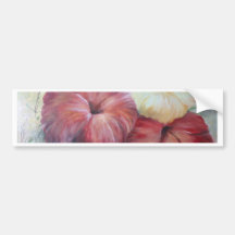 Hibiscos II Bumper Stickers