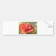 HIbiscus at Noon Bumper Sticker