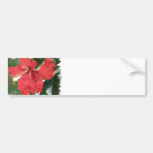Hibiscus Care Bumper Sticker