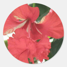 Hibiscus Care Sticker