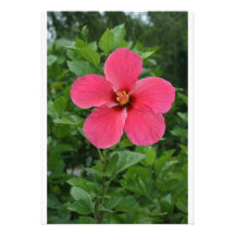 Hibiscus Custom Invite