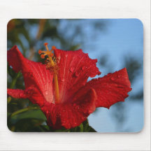 Hibiscus Dew Drops Mousepad