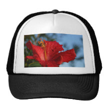 Hibiscus Dew Drops Trucker Hats