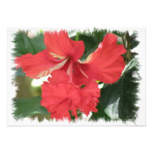 Hibiscus Flower Design Invitation
