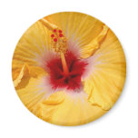 Hibiscus Flower Refrigerator Magnet