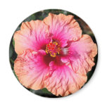 Hibiscus Flower Fridge Magnet