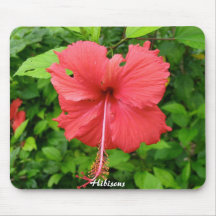 Hibiscus Flower Mouse Pad