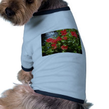 Hibiscus hedge, Spain flowers Dog Tshirt