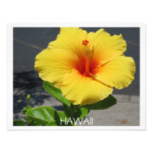 Hibiscus Invitation