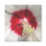 Hibiscus - Magnet