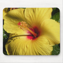Hibiscus Mouse Mats