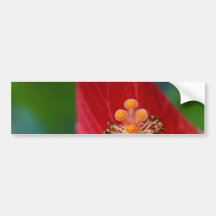 Hibiscus Opened Flower Bumper Sticker