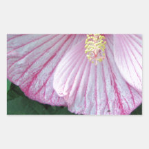 Hibiscus pink petals rectangular stickers