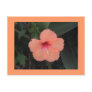 Hibiscus Postcard
