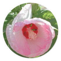 Hibiscus Sticker