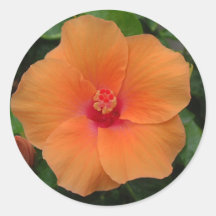 Hibiscus Sticker
