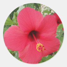 Hibiscus Stickers