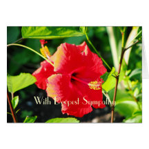 Hibiscus Sympathy Greeting Card