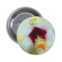 Hibiscus Yellow w Red centre Pins