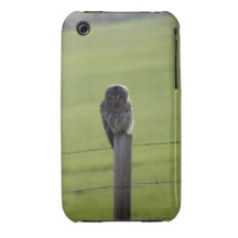 Hibou barré de BAOW Coques Case-Mate iPhone 3