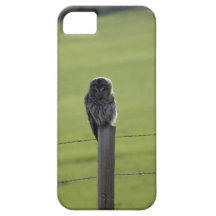Hibou barré de BAOW Coques iPhone 5 Case-Mate