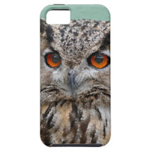 HIBOU COQUES iPhone 5
