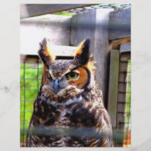 Hibou curieux tract customisé