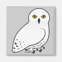 Hibou de Birdorable Milou Magnets Pour Réfrigérateur