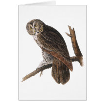 Hibou de grand gris cartes de vœux