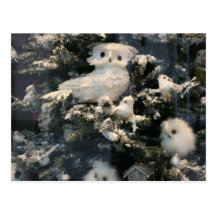 Hibou décoratif sur l'arbre de Noël Cartes Postales