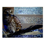 Hibou d'encouragement cartes postales