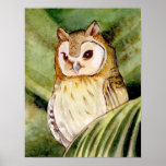 Hibou tropical posters