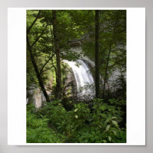 Hidden Falls Print