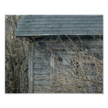 Hidden Mystery 10x8 Photographic Print