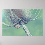 Hidden Shell Poster