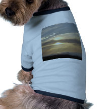 Hidden sun doggie tshirt