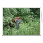 Hidden Tractor Greeting Card