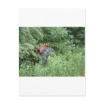Hidden Tractor Postcards