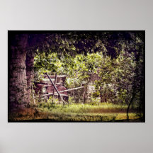 Hidden Treasure Print